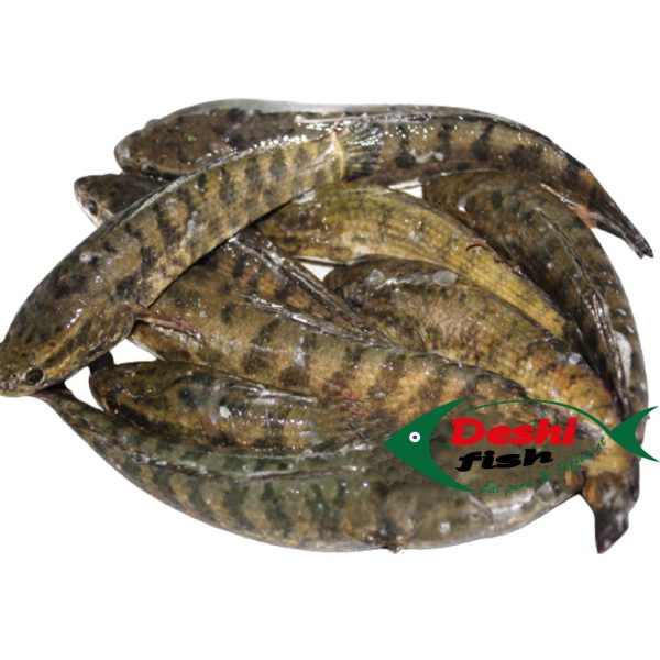 Taki Fish Local ( দেশি টাকি মাছ )