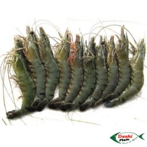 Bagda Chingri ( বাগদা চিংড়ি )