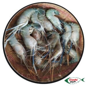 Golda Chingri Fish (গলদা চিংড়ি )