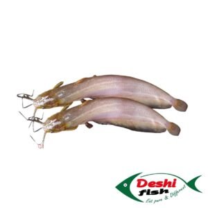 Shing Fish ( শিং মাছ)