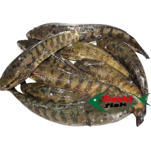Deshi Taki Fish