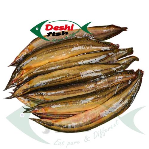 Tara Baim Fish (তারা বাইম মাছ)2